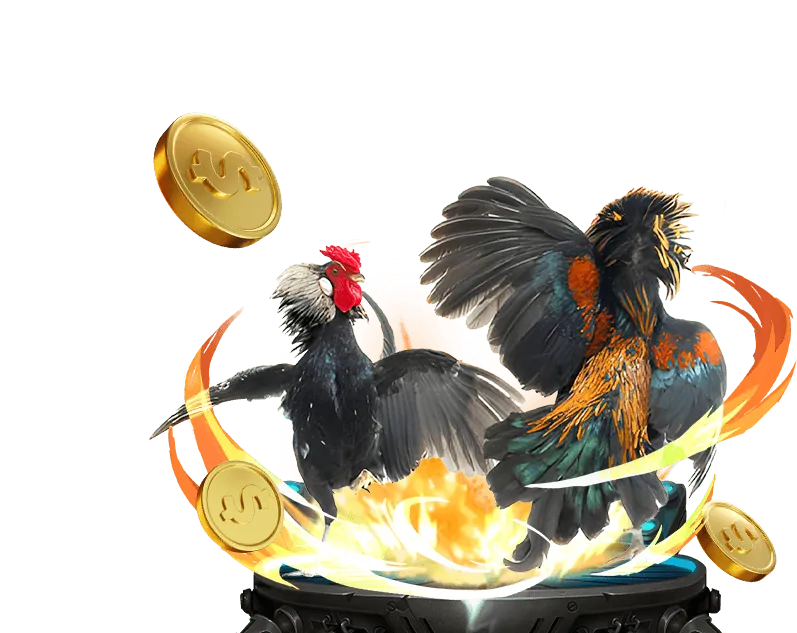 Kèo BDD (Hòa) trong đá gà trực tuyến new88 net